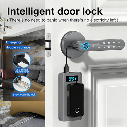 Bluetooth-Enabled Smart Door Lock with Multiple Access Options